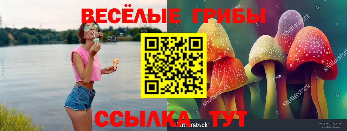 Галлюциногенные грибы мицелий Орск
