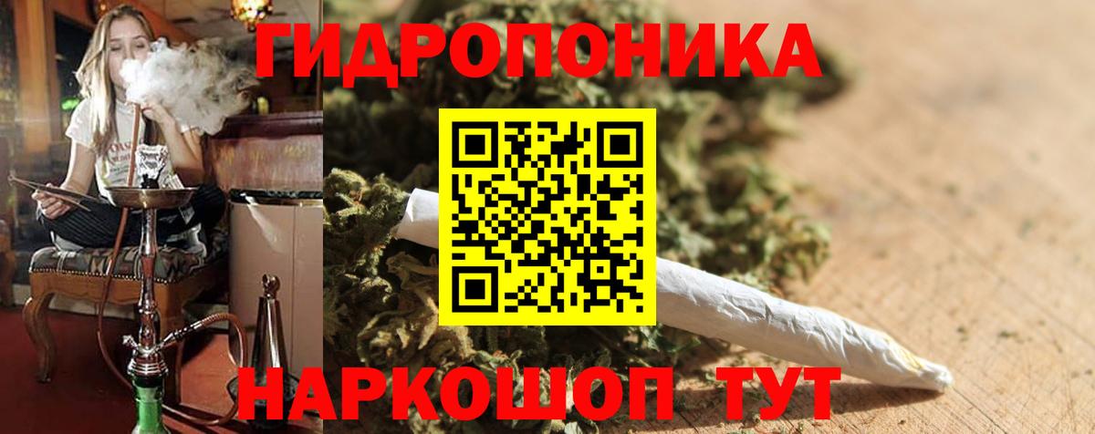 Орск  Бошки марихуана планчик  Каннабис планчик  МАРИХУАНА семена  Вход с VPN  Конопля AK-47 